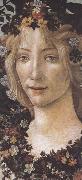 Sandro Botticelli Primavera oil on canvas